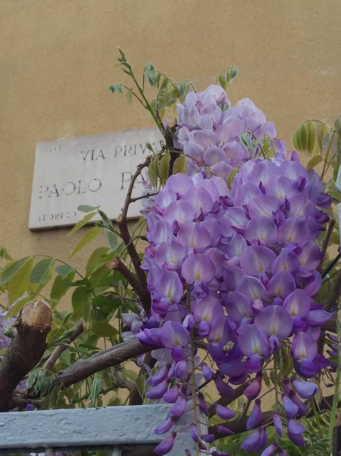 Amami Apartman Milánó Kültér fotó